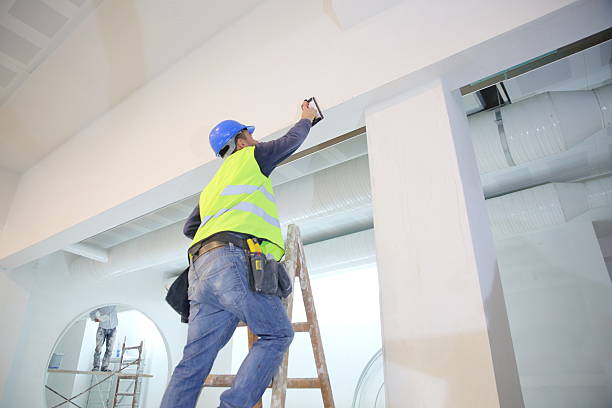 Best Commercial Mold Inspection  in La Grange, KY