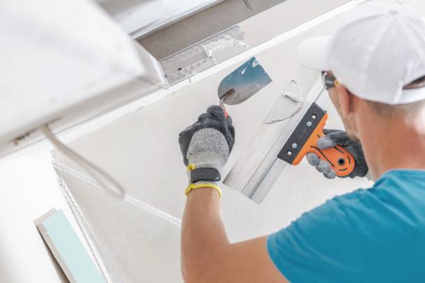 Best Mold Removal for HVAC Installations  in La Grange, KY
